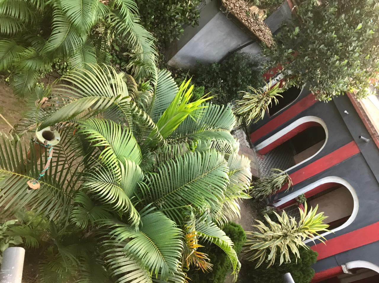 A Different View of a part of the house