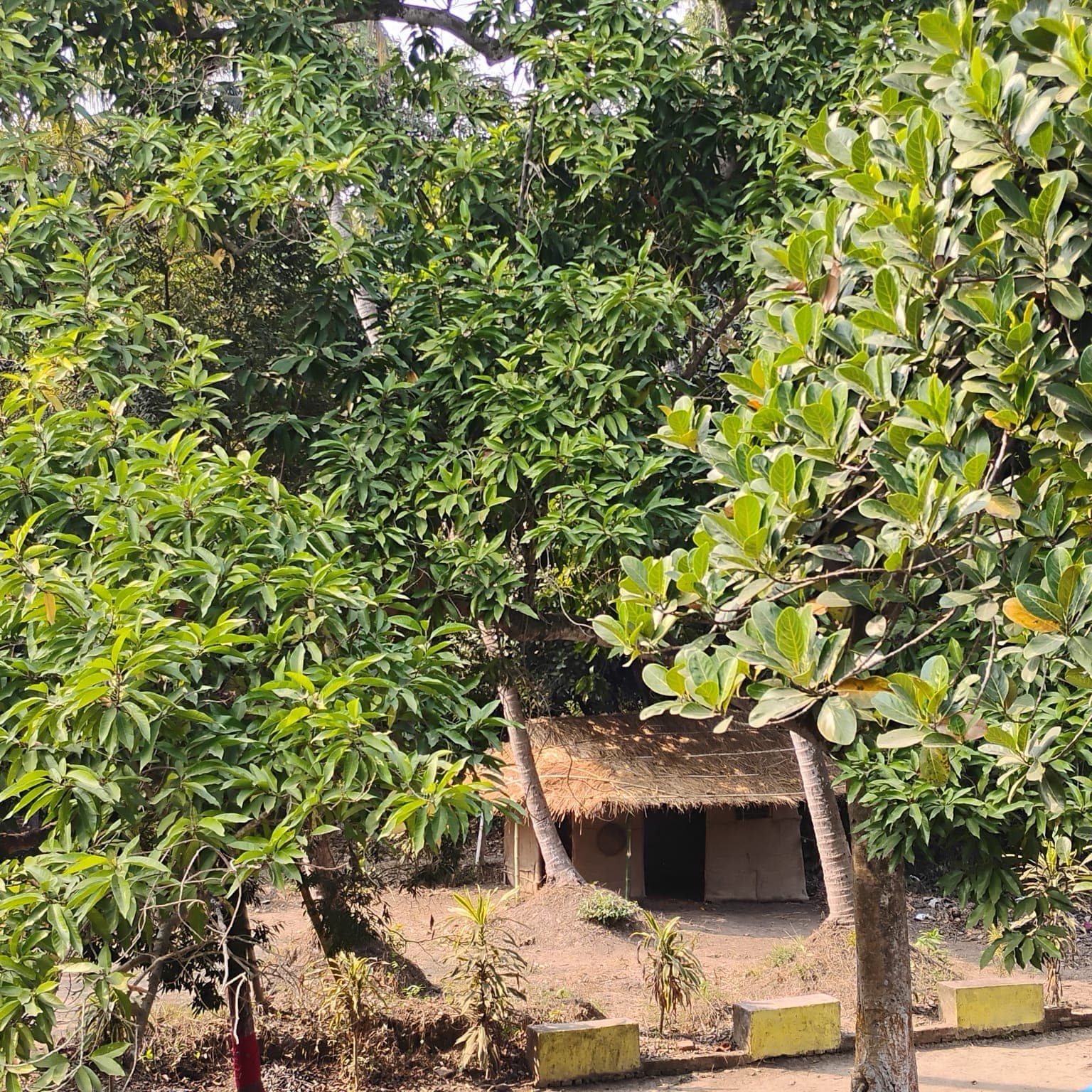 A picteresque mud house for shooting village shots