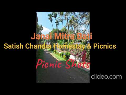 Picnic Pictures At Our Location